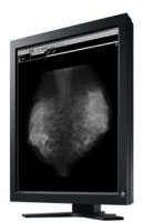 Eizo GS520 (GS520CL-P) Eizo GS520 (GS520CL-P)